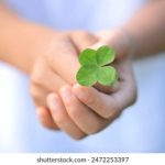 游艇会官网 YTH206 深度解读:会员福利、专属航线以及高端社交圈子指南 9ipqi7rj