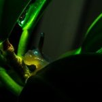 游艺城娱乐:家庭聚会和朋友聚餐的完美选择 ji35m45