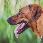 游艇会活动推荐:畅享海上派对的完美时光 k4txlg1c6