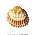 NBA免费高清直播网:畅享全程赛事无广告超清画质 1peaa4v