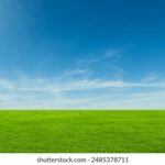 NBA免费直播网站推荐:哪个平台可以免费观看NBA比赛? srvxvo